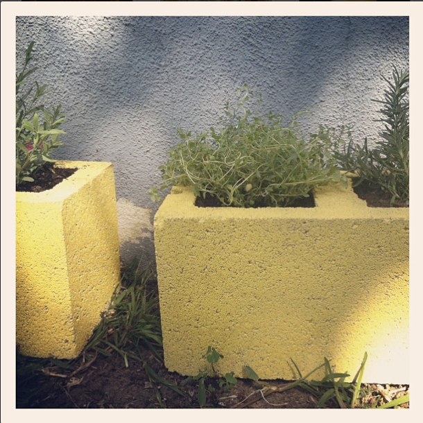 DIY: Cinder Block Herb garden 